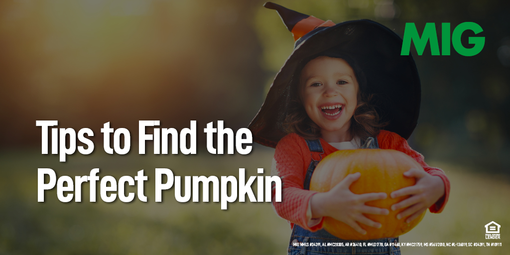 Looking for the Perfect Pumpkin? These Tips Ensure Your Pumpkin is Great!