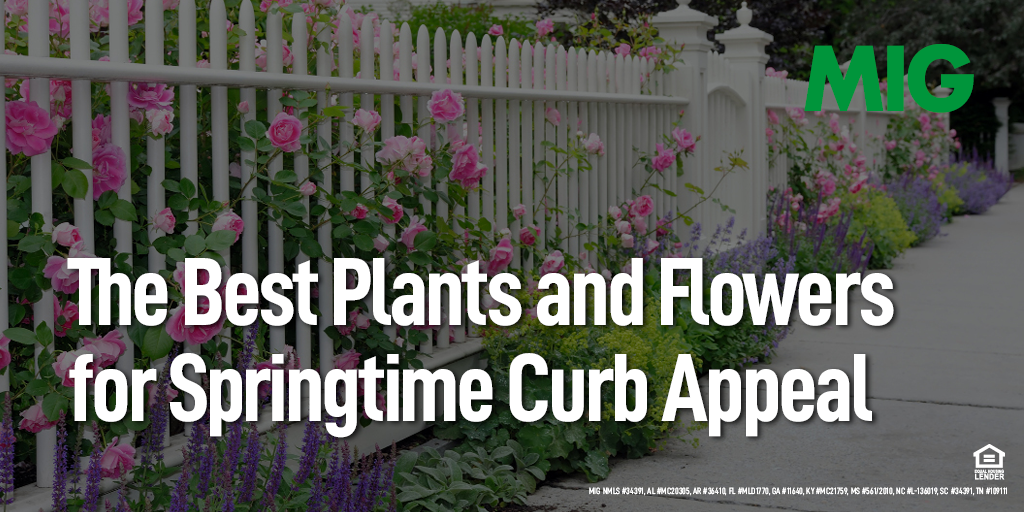 The Best Plants and Flowers for Springtime Curb Appeal