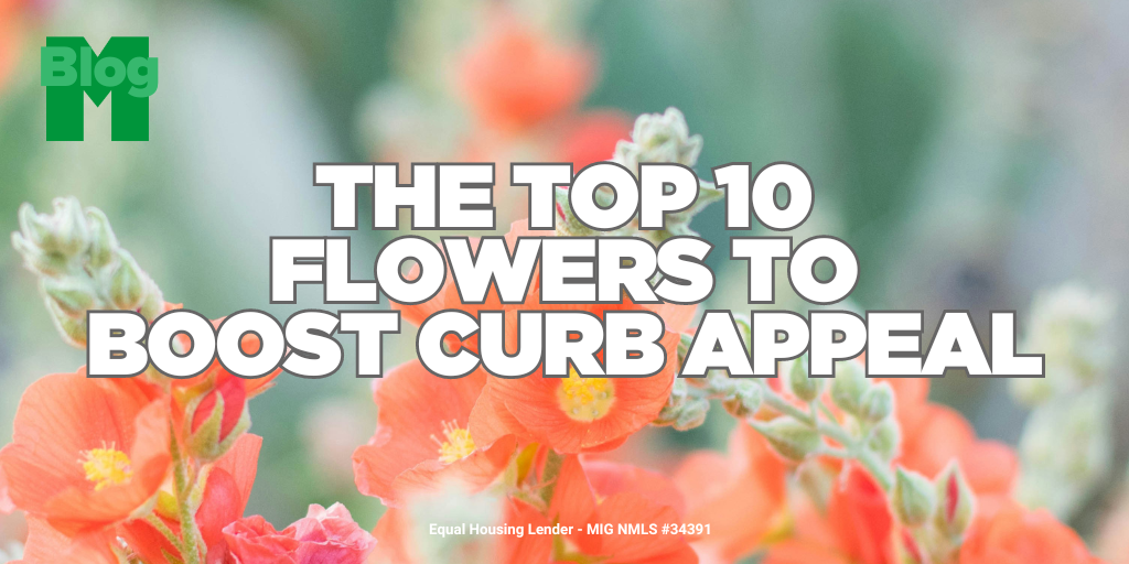 The Top 10 Flowers to Boost Curb Appeal